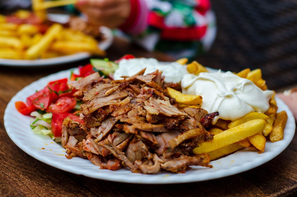 Ein Teller mit Pommesfrites, geschreddertem Fleisch und einer weißen Creme-Soße.